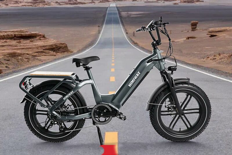 himiway-big-dog-electric-cargo-bike-enviro